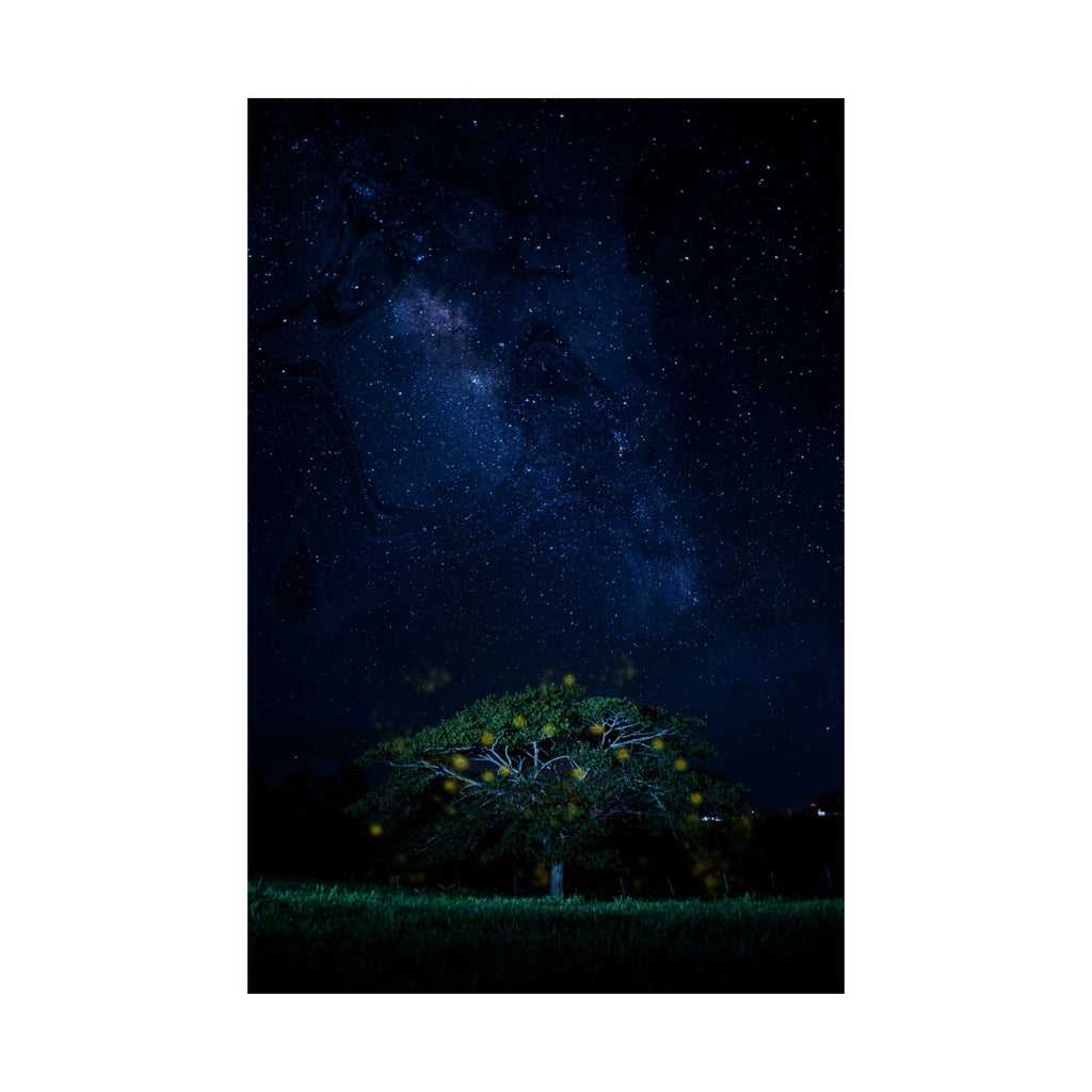 The Great Fairy Tree - Stunning Matte Vertical Poster for Home Decor - Night Sky Art Featuring Fireflies & Stars