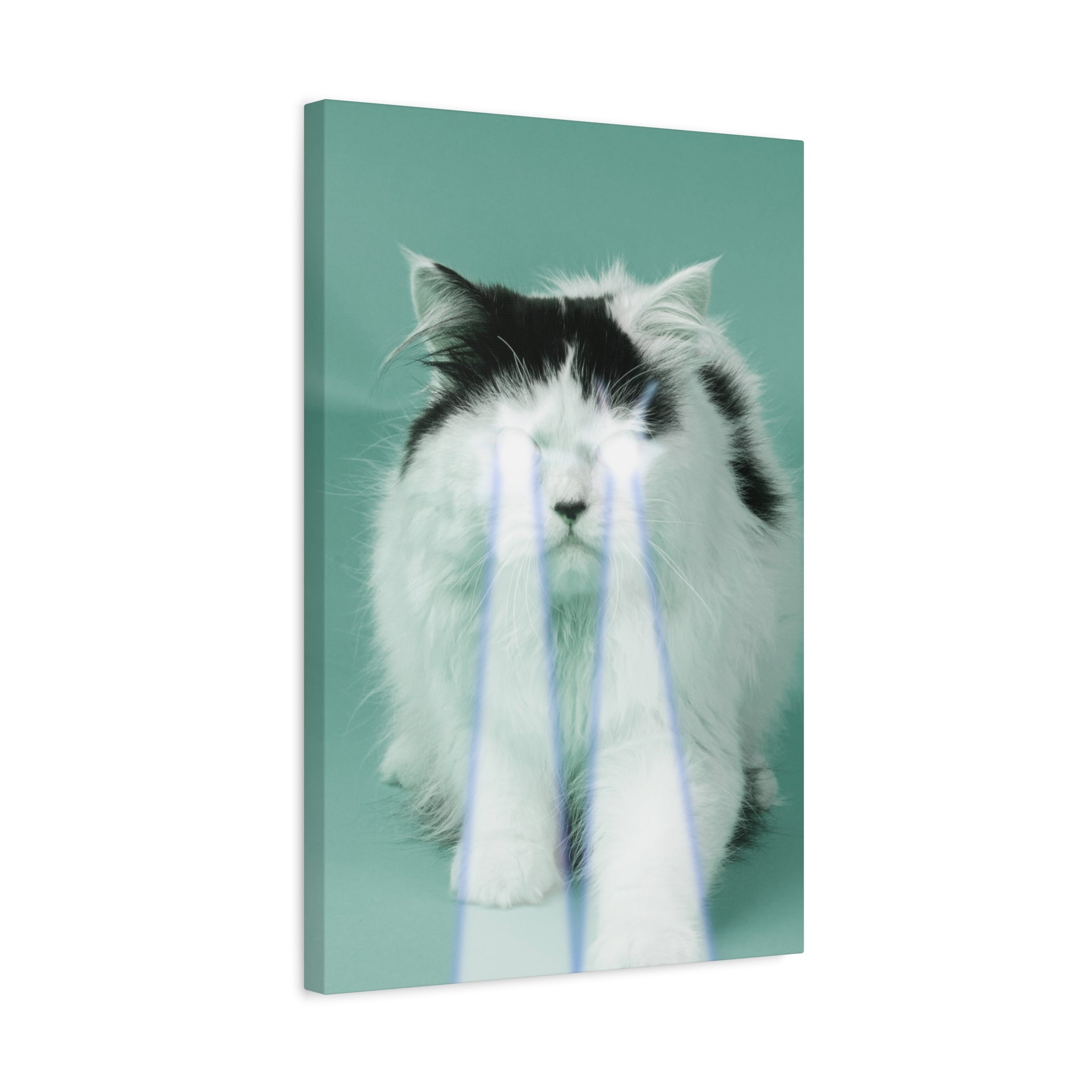 Laser Cat Canvas Wall Art - Funny Sci-Fi Space Feline Decor