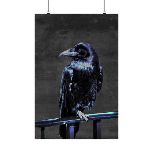 Blue Crow Poster Print - Surreal Raven Bird Art