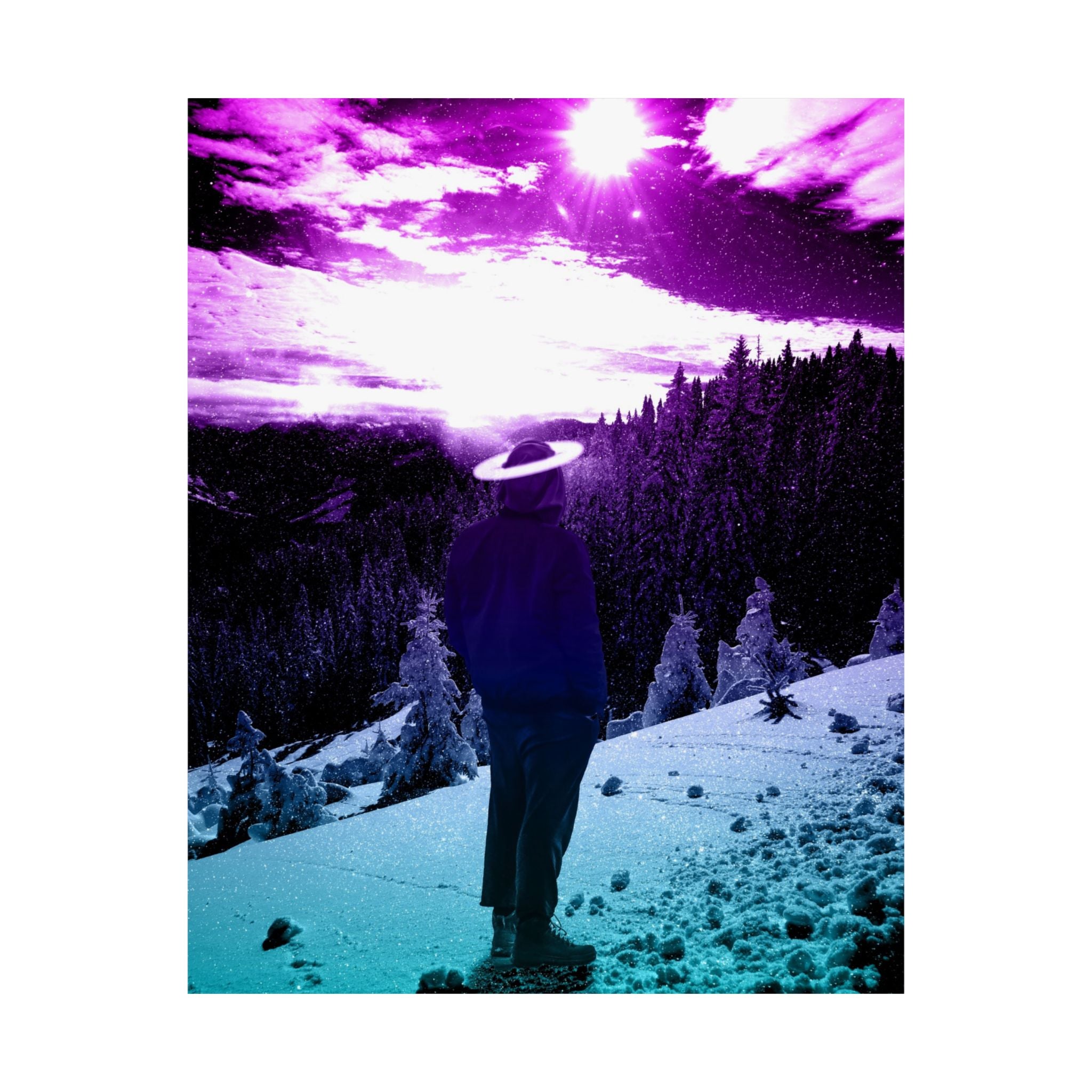 Winter Aurora Lights Matte Poster Print