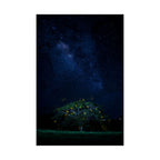 The Great Fairy Tree - Stunning Matte Vertical Poster for Home Decor - Night Sky Art Featuring Fireflies & Stars
