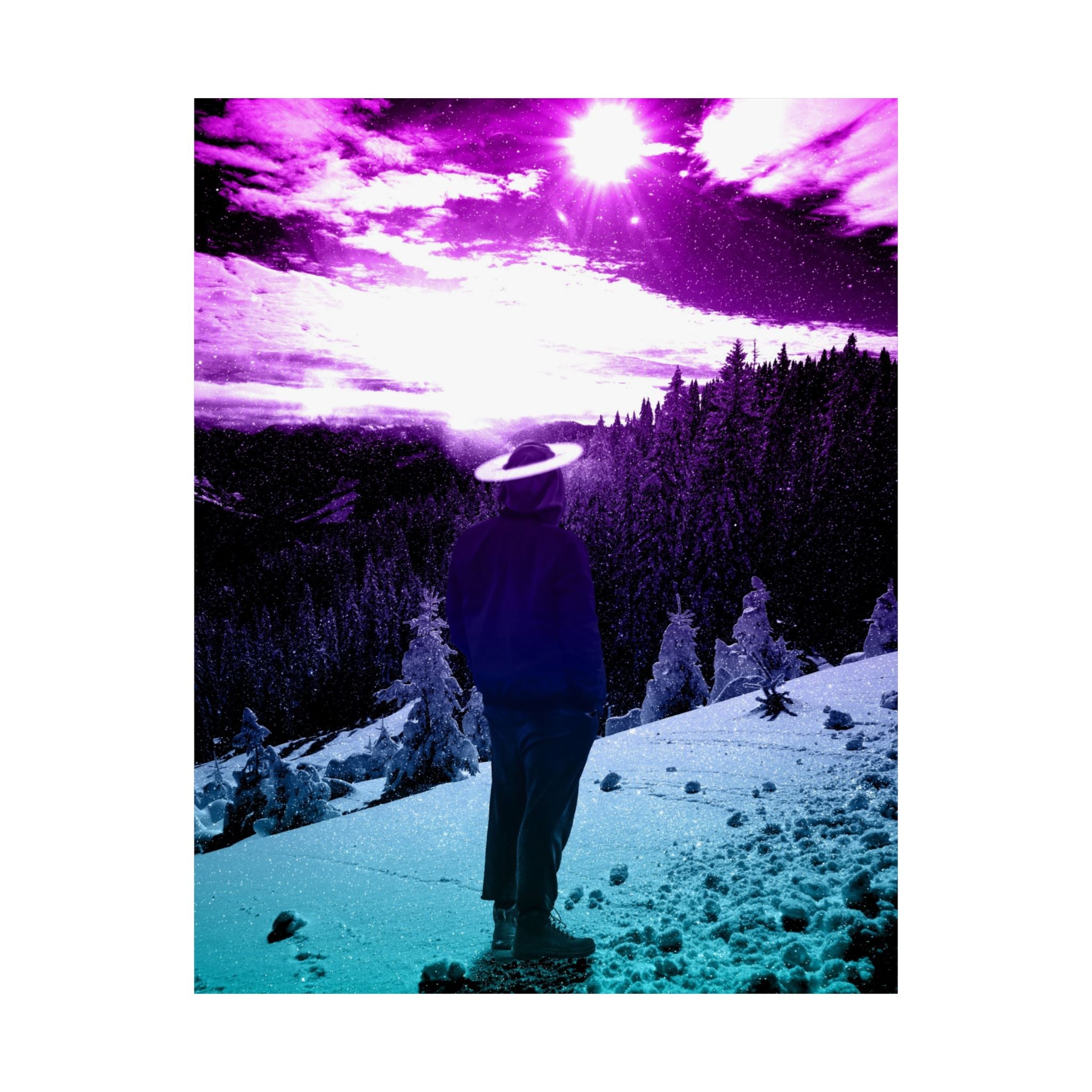 Winter Aurora Lights Matte Poster Print