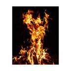 Phoenix Fire Poster Print - Mythical Fire Bird Art