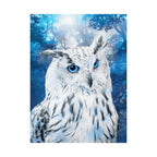 Frost Owl Poster Print - Winter Woodland Bird Art