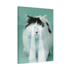 Laser Cat Canvas Wall Art - Funny Sci-Fi Space Feline Decor
