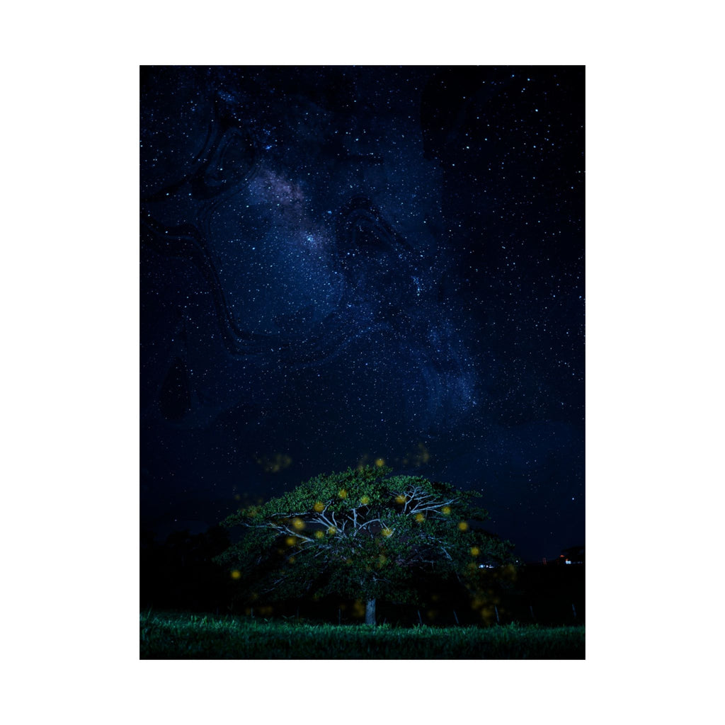 The Great Fairy Tree - Stunning Matte Vertical Poster for Home Decor - Night Sky Art Featuring Fireflies & Stars