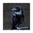 Blue Crow Poster Print - Surreal Raven Bird Art