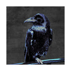Blue Crow Poster Print - Surreal Raven Bird Art