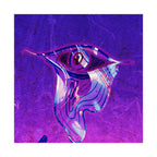 Wild Eye Matte Poster Print