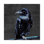 Blue Crow Poster Print - Surreal Raven Bird Art