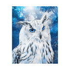 Frost Owl Poster Print - Winter Woodland Bird Art