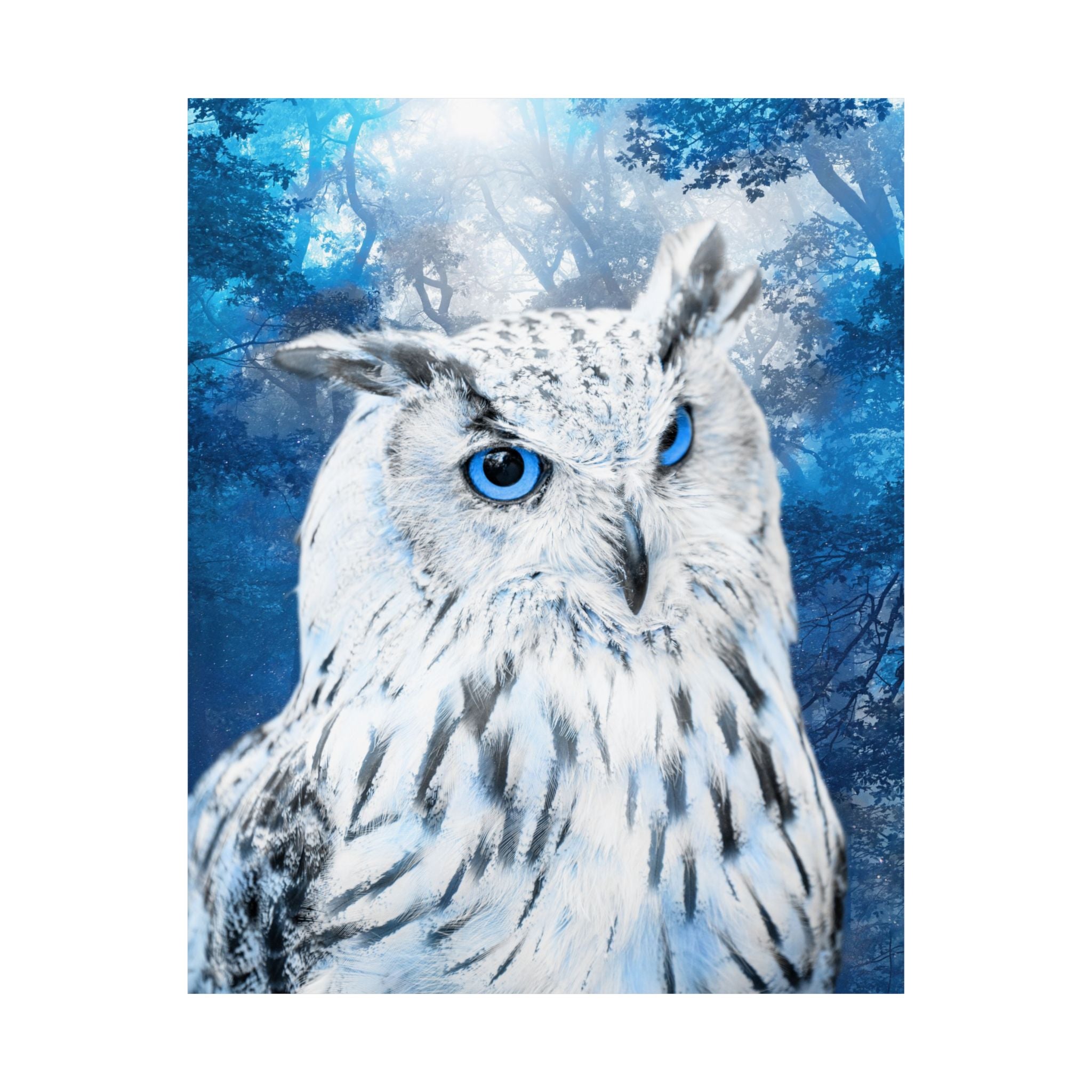 Frost Owl Poster Print - Winter Woodland Bird Art