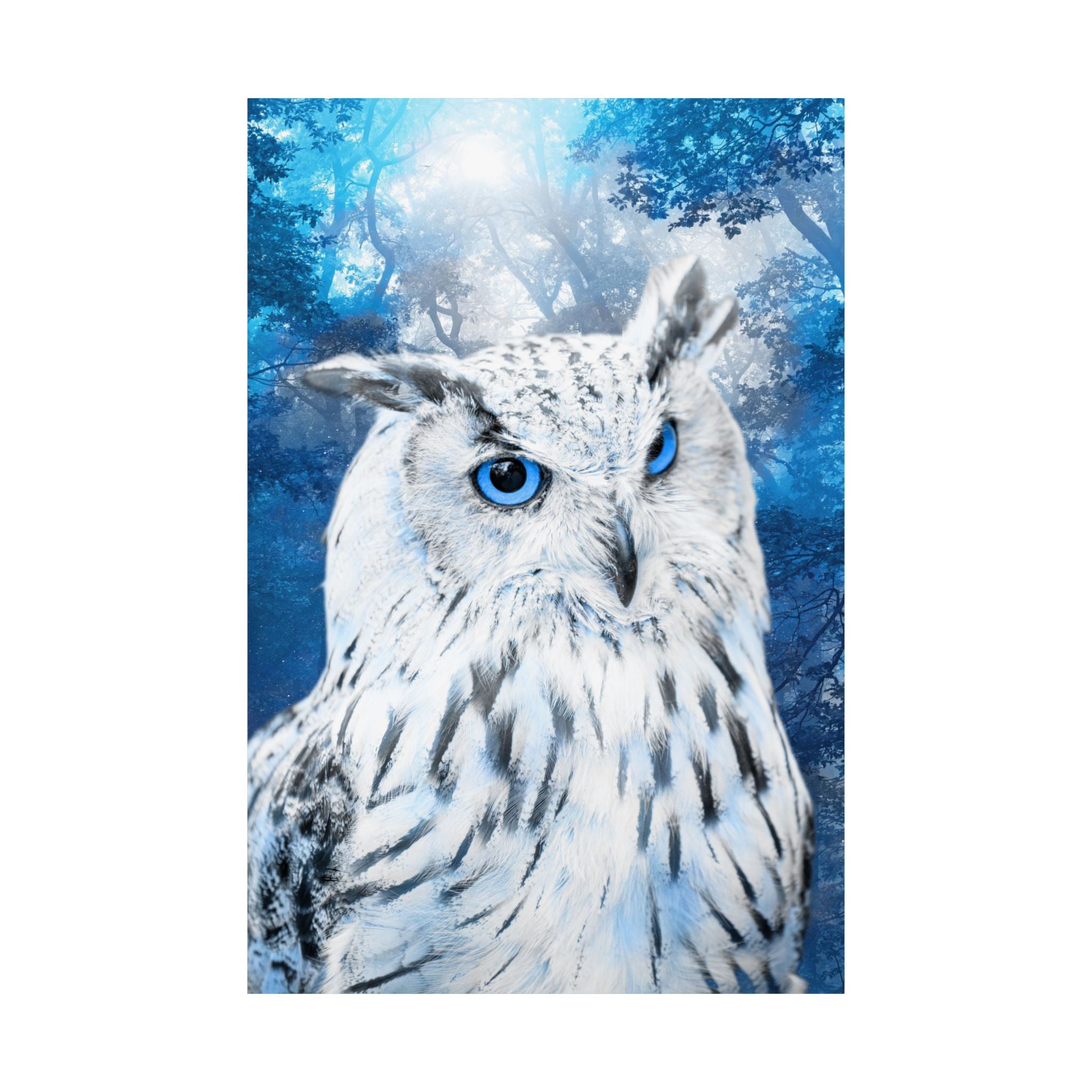 Frost Owl Poster Print - Winter Woodland Bird Art