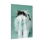 Laser Cat Canvas Wall Art - Funny Sci-Fi Space Feline Decor