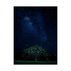 The Great Fairy Tree - Stunning Matte Vertical Poster for Home Decor - Night Sky Art Featuring Fireflies & Stars