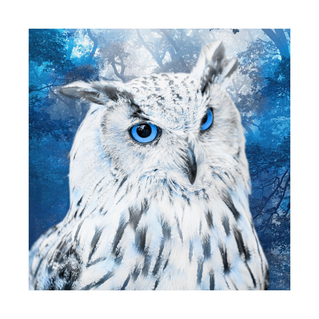 Frost Owl Poster Print - Winter Woodland Bird Art