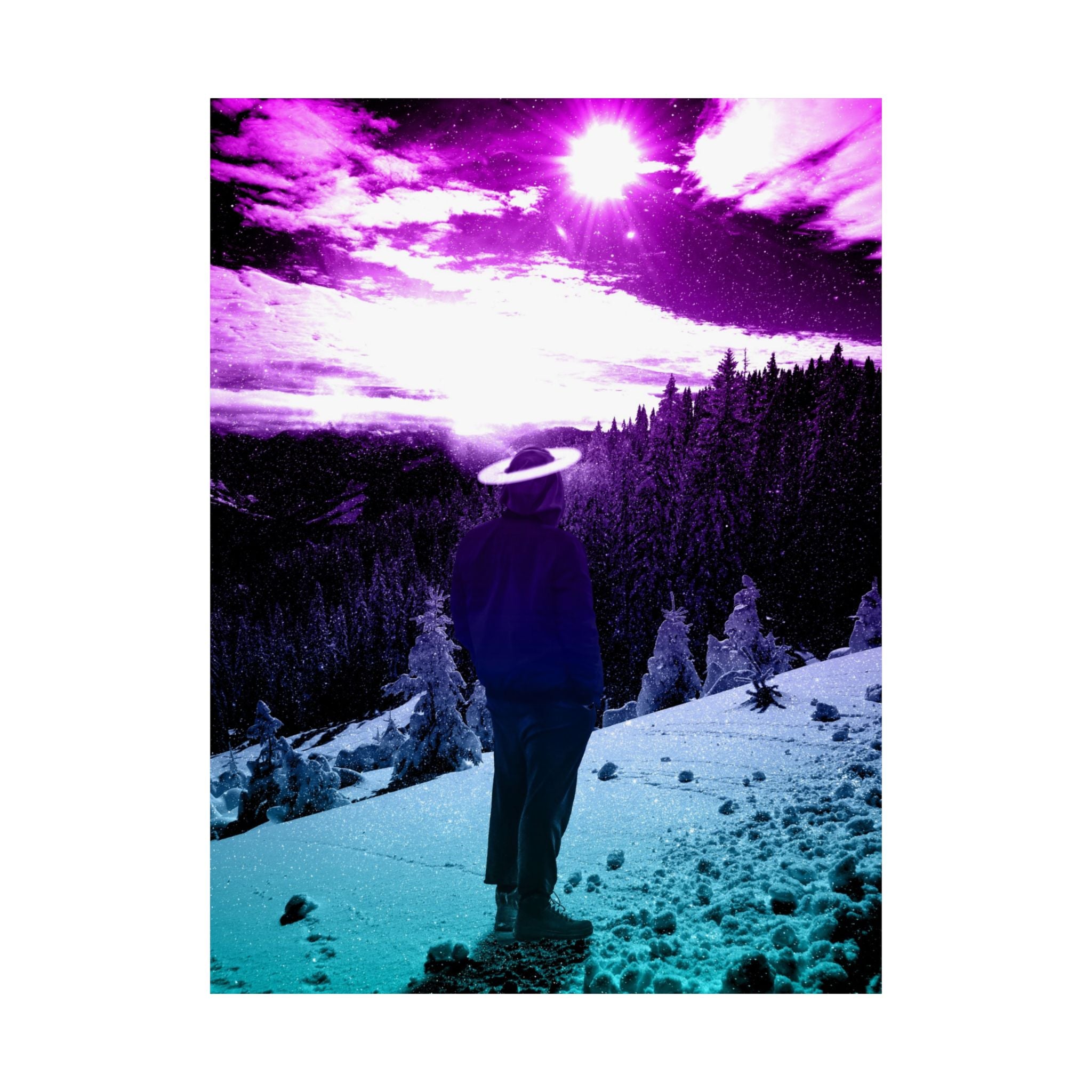 Winter Aurora Lights Matte Poster Print