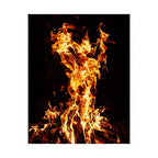Phoenix Fire Poster Print - Mythical Fire Bird Art