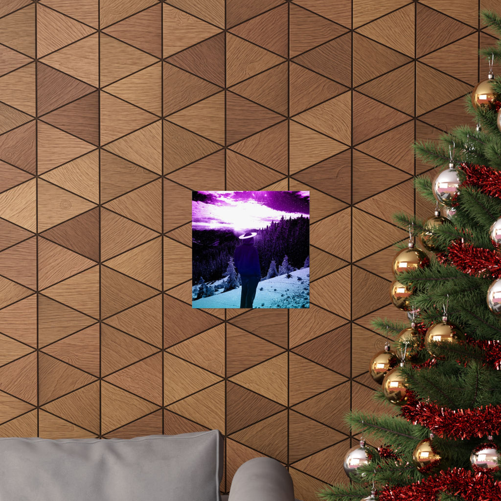 Winter Aurora Lights Matte Poster Print
