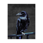 Blue Crow Poster Print - Surreal Raven Bird Art