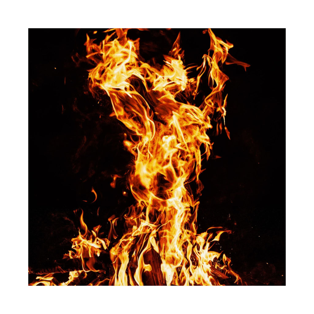 Phoenix Fire Poster Print - Mythical Fire Bird Art