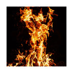 Phoenix Fire Poster Print - Mythical Fire Bird Art