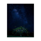 The Great Fairy Tree - Stunning Matte Vertical Poster for Home Decor - Night Sky Art Featuring Fireflies & Stars