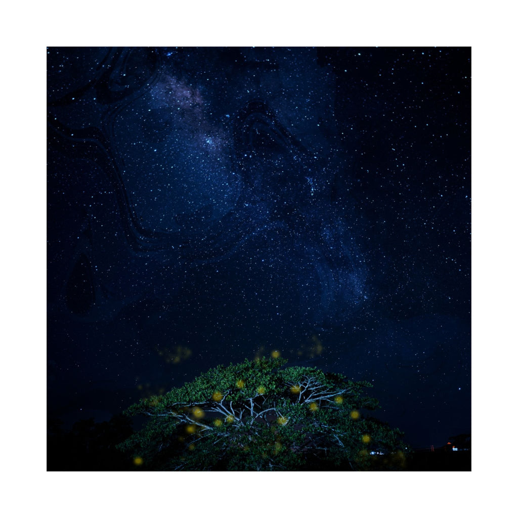 The Great Fairy Tree - Stunning Matte Vertical Poster for Home Decor - Night Sky Art Featuring Fireflies & Stars