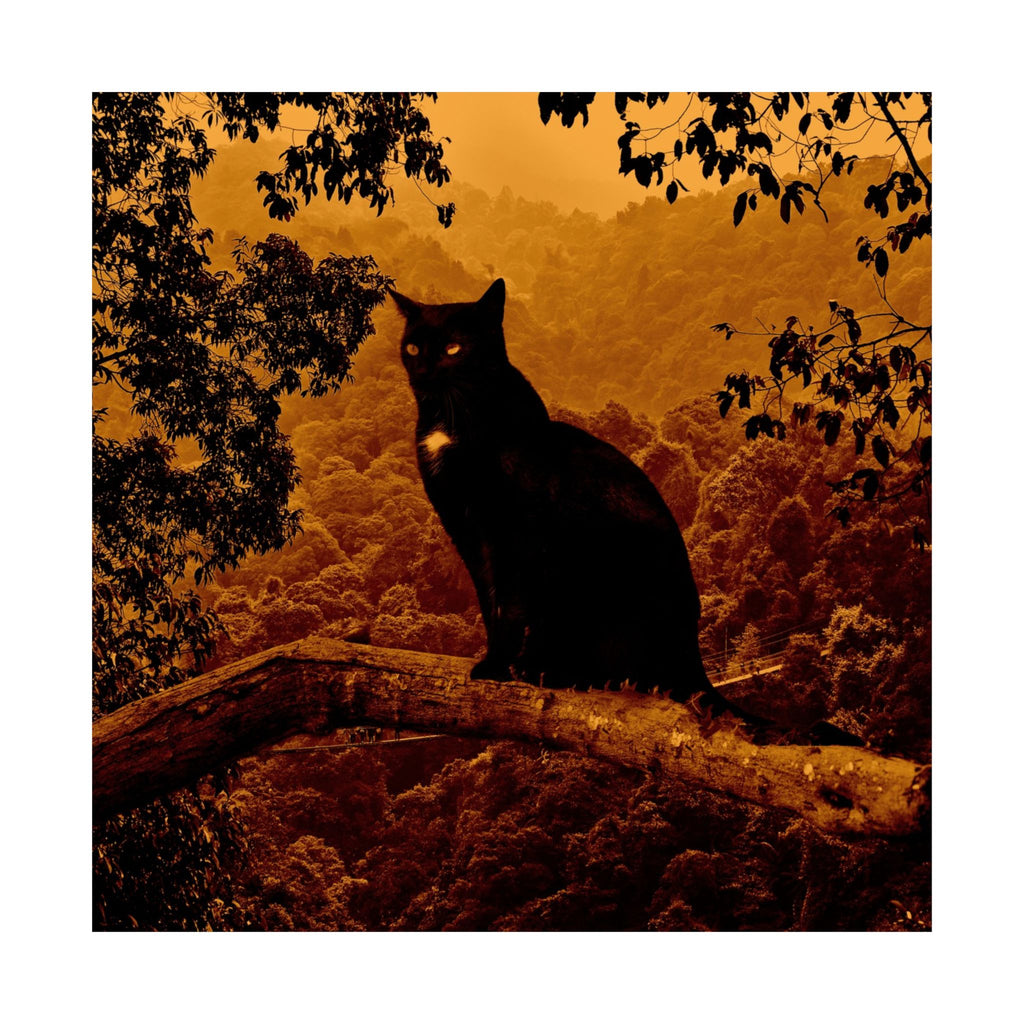 Spooky Cat in Tree Matte Vertical Poster | Premium Quality Art Print for Cat Lovers & Halloween Decor