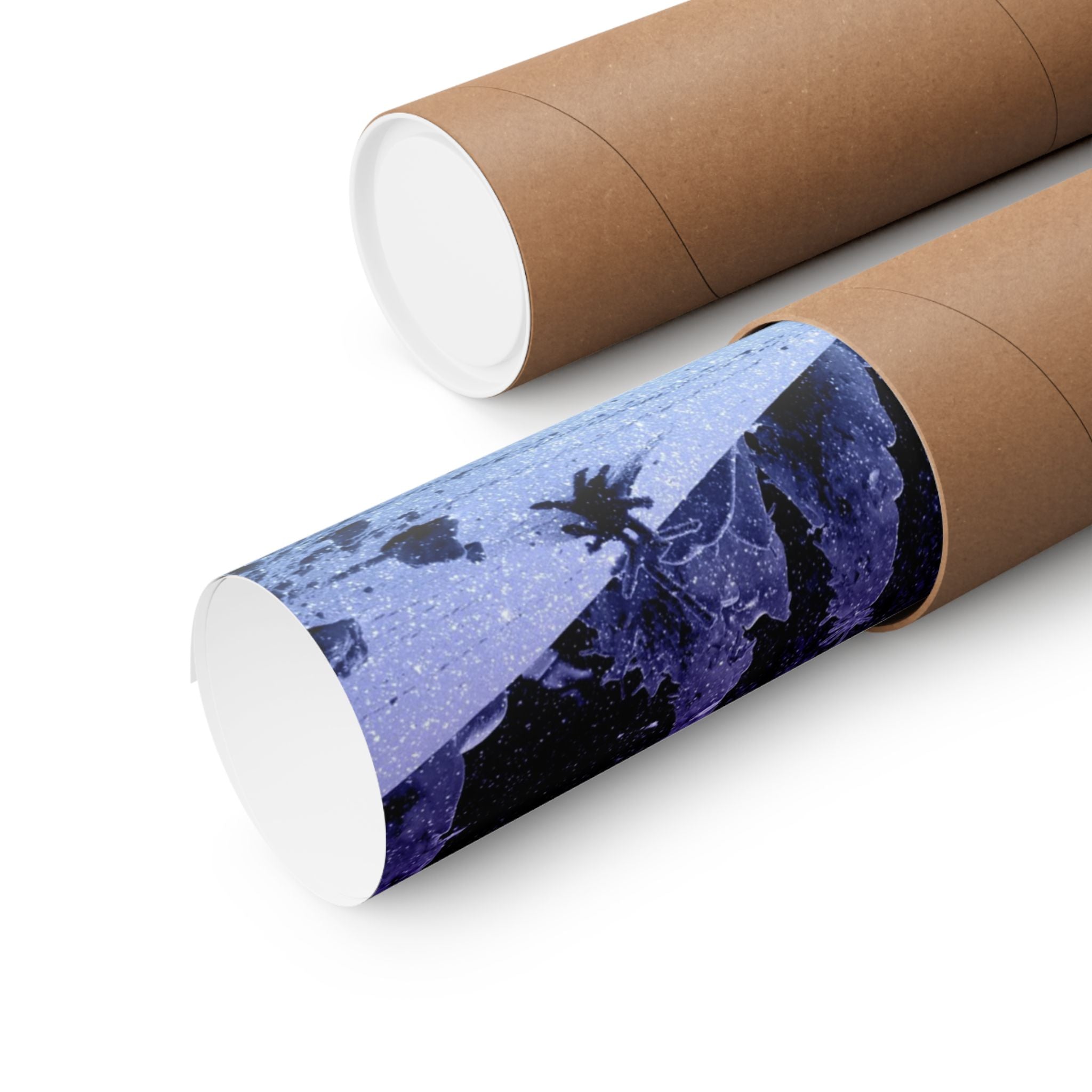 Winter Aurora Lights Matte Poster Print